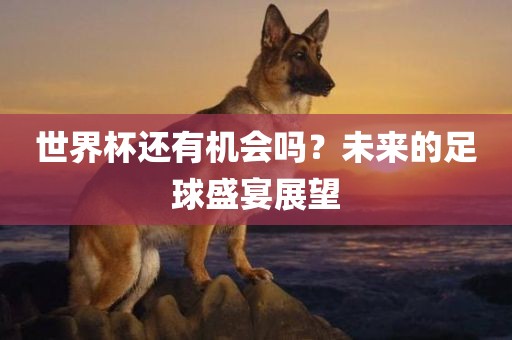 世界杯还有机会吗？未来的足球盛宴展望
