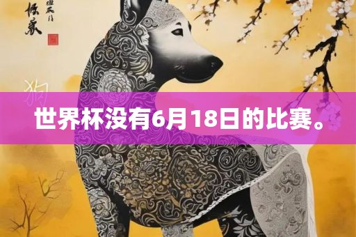 世界杯没有6月18日的比赛。
