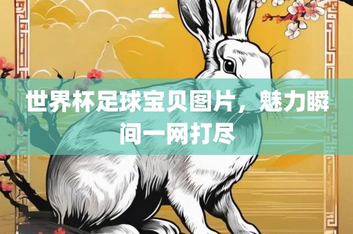 世界杯足球宝贝图片，魅力瞬间一网打尽