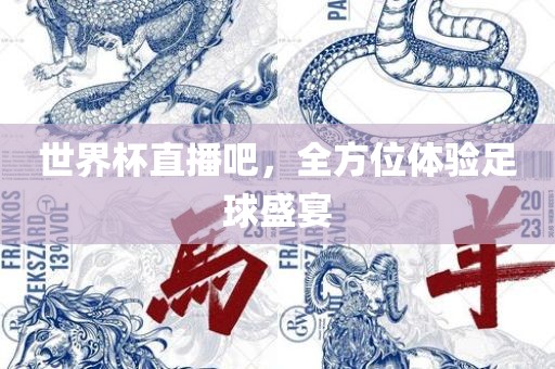 世界杯直播吧，全方位体验足球盛宴