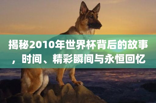 揭秘2010年世界杯背后的故事，时间、精彩瞬间与永恒回忆