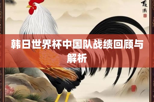 韩日世界杯中国队战绩回顾与解析