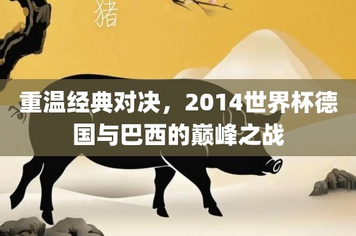 重温经典对决，2014世界杯德国与巴西的巅峰之战