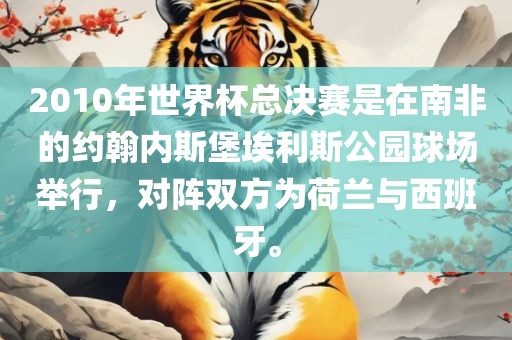 2010年世界杯总决赛是在南非的约翰内斯堡埃利斯公园球场举行，对阵双方为荷兰与西班牙。