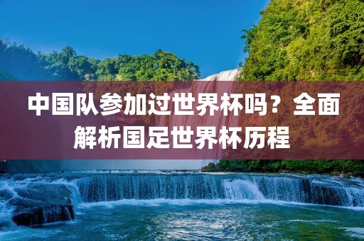 中国队参加过世界杯吗？全面解析国足世界杯历程