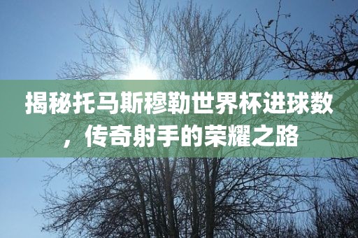 揭秘托马斯穆勒世界杯进球数，传奇射手的荣耀之路