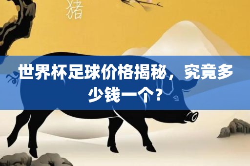 世界杯足球价格揭秘，究竟多少钱一个？