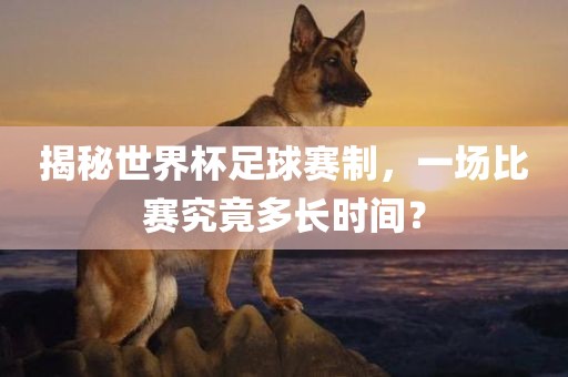 揭秘世界杯足球赛制，一场比赛究竟多长时间？