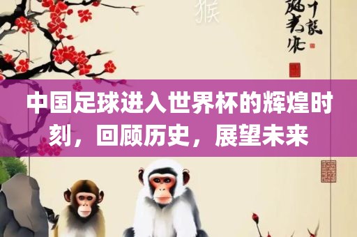 中国足球进入世界杯的辉煌时刻，回顾历史，展望未来