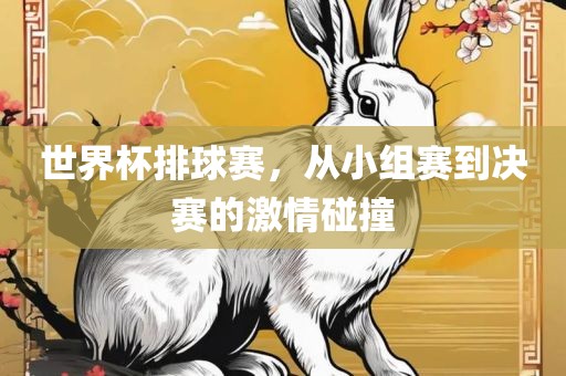世界杯排球赛，从小组赛到决赛的激情碰撞眉山市正发家政服务有限公司