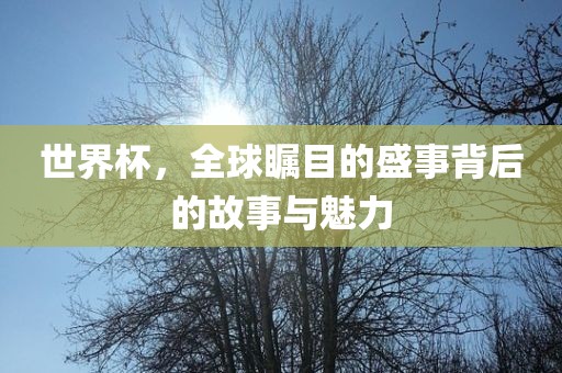 世界杯，全球瞩目的盛事背后的故事与魅力