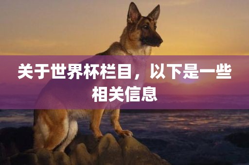 关于世界杯栏目，以下是一些相关信息