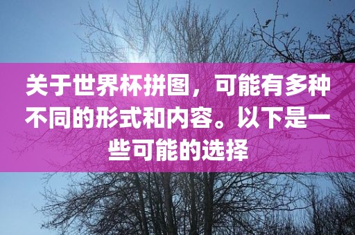 关于世界杯拼图，可能有多种不同的形式和内容。以下是一些可能的选择