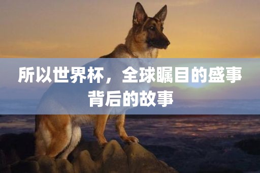 所以世界杯，全球瞩目的盛事背后的故事