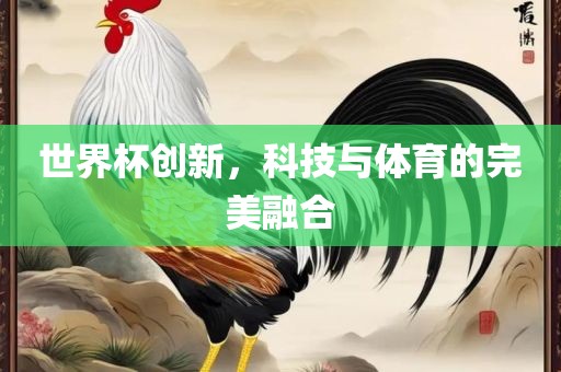 世界杯创新，科技与体育的完美融合
