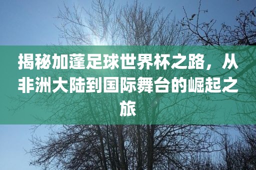 揭秘加蓬足球世界杯之路，从非洲大陆到国际舞台的崛起之旅