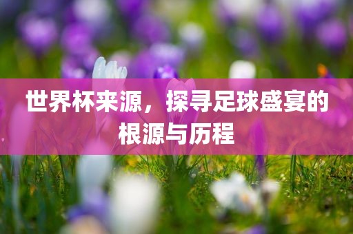 世界杯来源，探寻足球盛宴的根源与历程