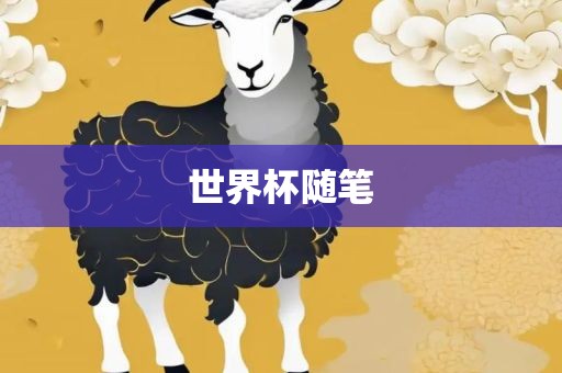 世界杯随笔