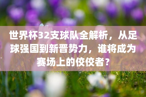 世界杯32支球队全解析，从足球强国到新晋势力，谁将成为赛场上的佼佼者？眉山市正发家政服务有限公司