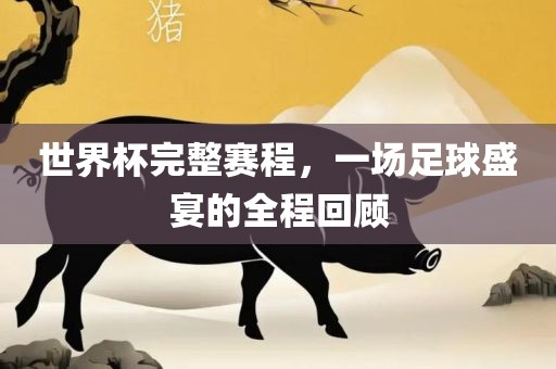 世界杯完整赛程，一场足球盛宴的全程回顾
