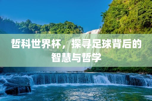 哲科世界杯，探寻足球背后的智慧与哲学