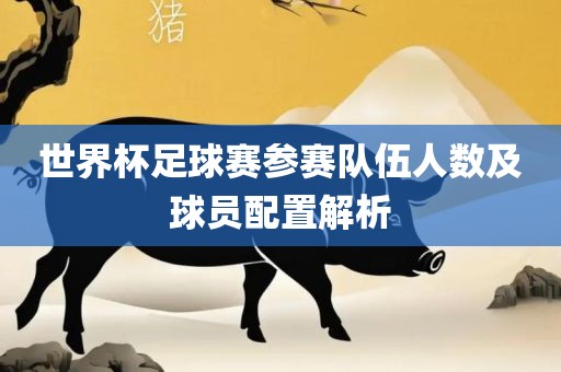 世界杯足球赛参赛队伍人数及球员配置解析