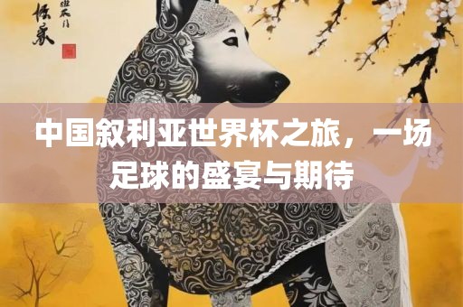 中国叙利亚世界杯之旅，一场足球的盛宴与期待