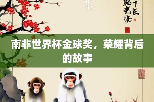 南非世界杯金球奖，荣耀背后的故事