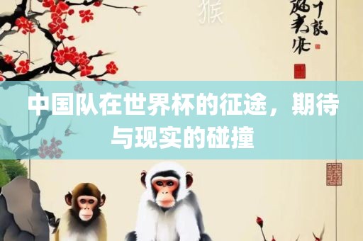 中国队在世界杯的征途，期待与现实的碰撞