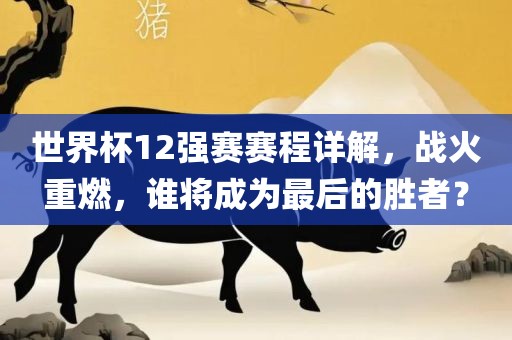 世界杯12强赛赛程详解，战火重燃，谁将成为最后的胜者？