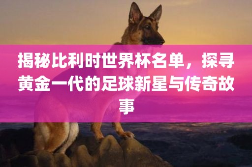 揭秘比利时世界杯名单，探寻黄金一代的足球新星与传奇故事