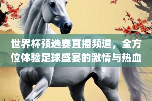 世界杯预选赛直播频道，全方位体验足球盛宴的激情与热血