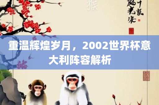 重温辉煌岁月，2002世界杯意大利阵容解析
