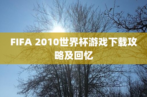 FIFA 2010世界杯游戏下载攻略及回忆