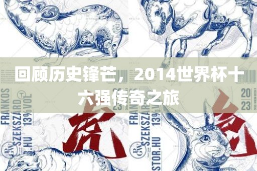 回顾历史锋芒，2014世界杯十六强传奇之旅