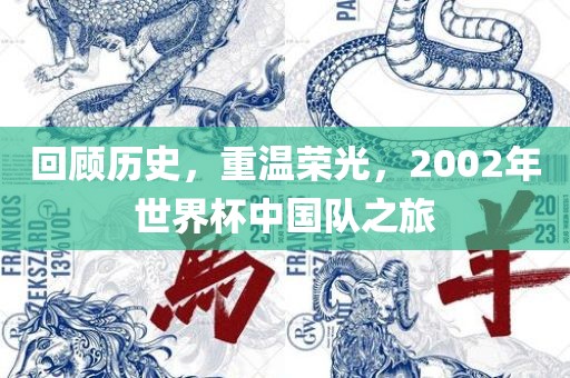 回顾历史，重温荣光，2002年世界杯中国队之旅眉山市正发家政服务有限公司