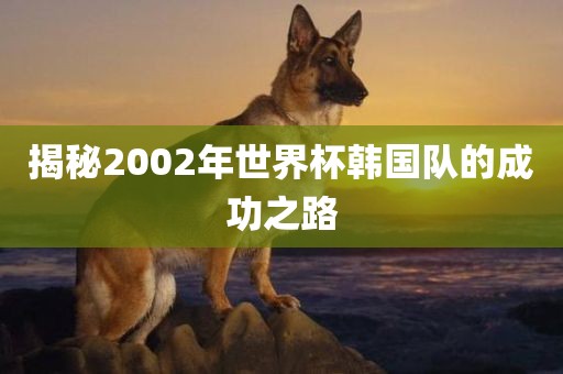 揭秘2002年世界杯韩国队的成功之路