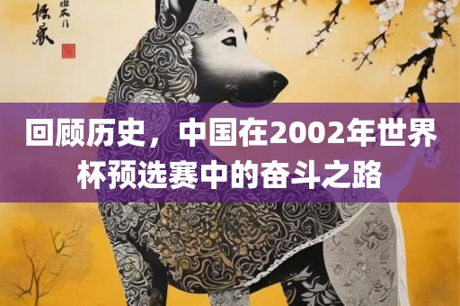 回顾历史，中国在2002年世界杯预选赛中的奋斗之路