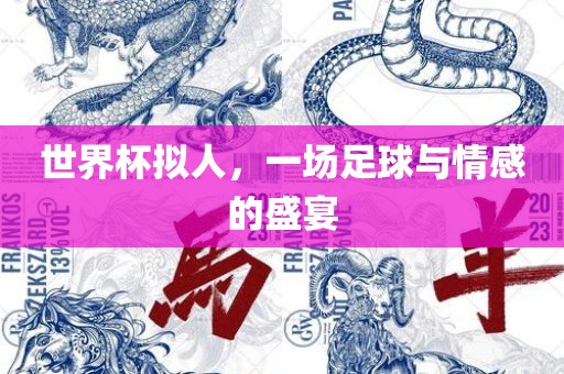 世界杯拟人，一场足球与情感的盛宴眉山市正发家政服务有限公司