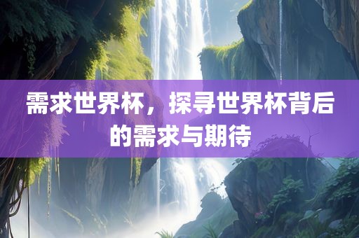 需求世界杯，探寻世界杯背后的需求与期待