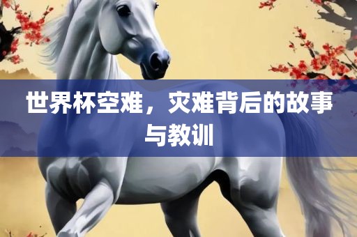 世界杯空难，灾难背后的故事与教训