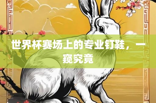 世界杯赛场上的专业钉鞋，一窥究竟