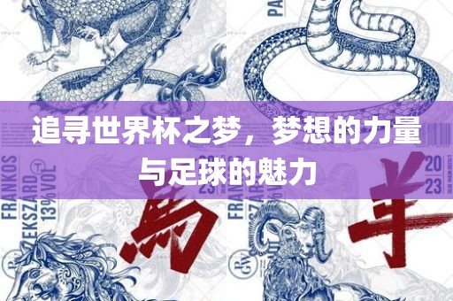 追寻世界杯之梦，梦想的力量与足球的魅力