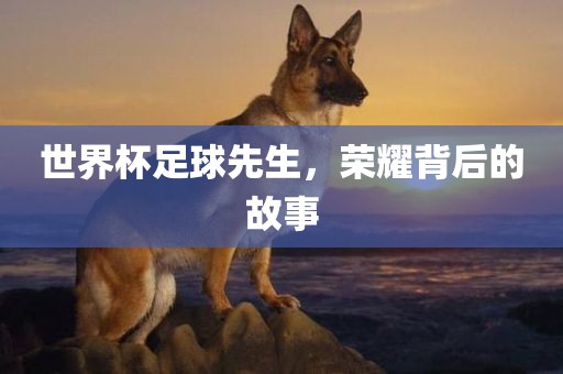 yangxinhong 第6页
