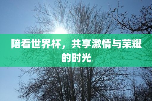 陪看世界杯，共享激情与荣耀的时光