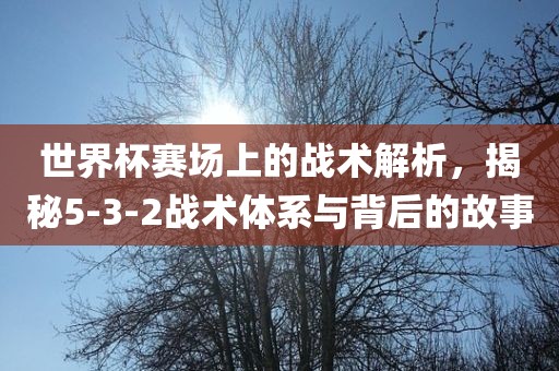 世界杯赛场上的战术解析，揭秘5-3-2战术体系与背后的故事