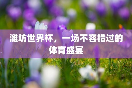 潍坊世界杯，一场不容错过的体育盛宴