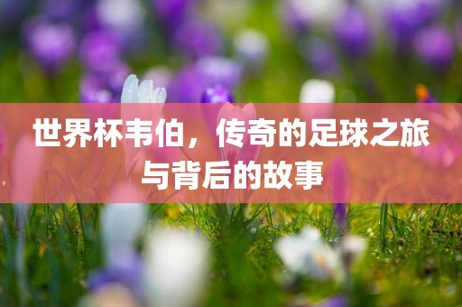 世界杯韦伯，传奇的足球之旅与背后的故事