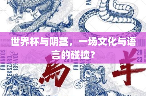 世界杯与阴茎，一场文化与语言的碰撞？