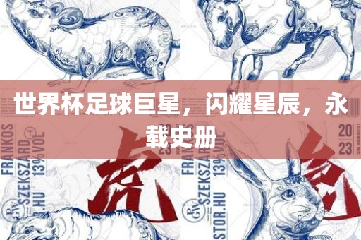 世界杯足球巨星，闪耀星辰，永载史册